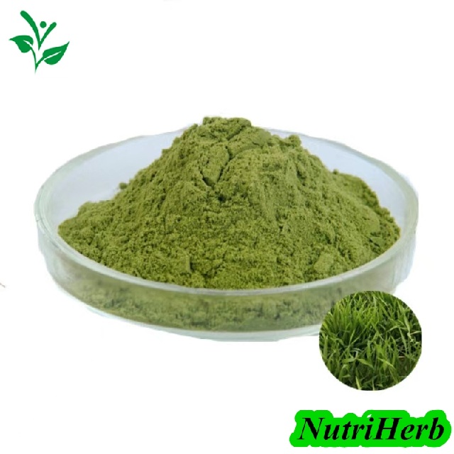 Halal-Certified-Food-Grade-Wheat-Grass-Powder-for-Meal-Replacement-Weight-Management(2)