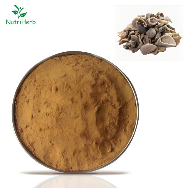 Extract-Ellagic-Acid-Powder 2