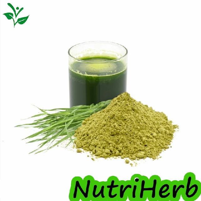 Halal-Certified-Food-Grade-Wheat-Grass-Powder-for-Meal-Replacement-Weight-Management(1)