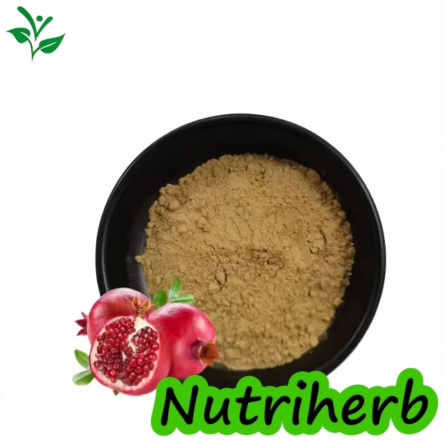 Ellagic-Acid-Powder-40- (1)