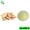 Natural Sophora Japonica Extract Luteolin 98% Powder