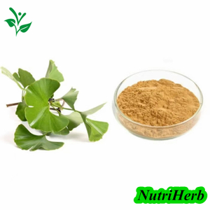 Natural Ginkgo Biloba Extract Ginkgo Flavone Glycosides Powder