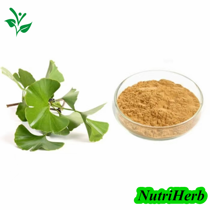 Natural Ginkgo Biloba Extract Ginkgo Flavone Glycosides Powder