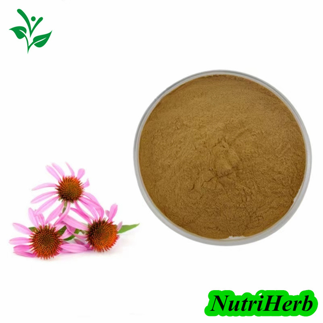 Echinacea Purpurea Extract Polyphenol Chicoric Acid Powder