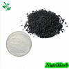 Natural Black Sesame Extract Sesamin Powder