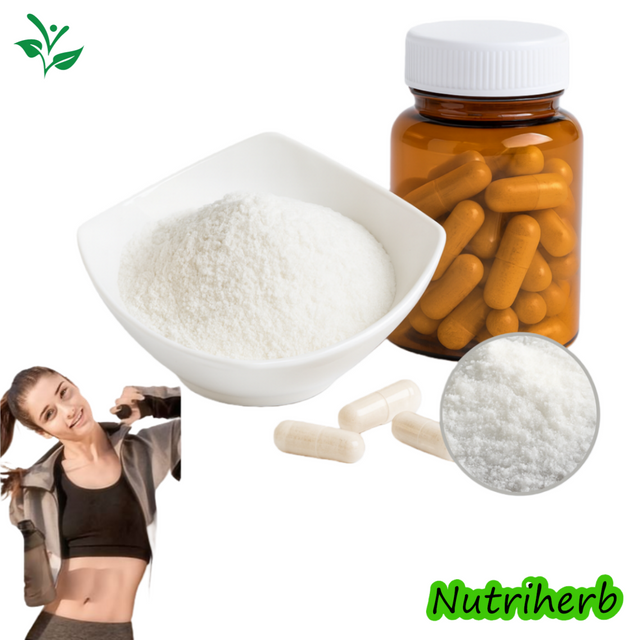Pure 99% Creatine Monohydrate Powder