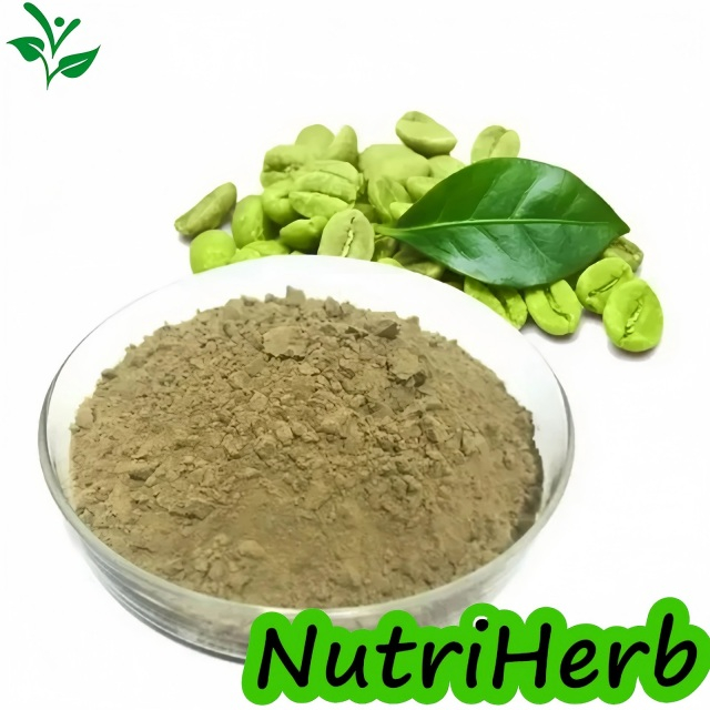 Natural Green Coffee Bean Extract Chlorogenic Acid Powder
