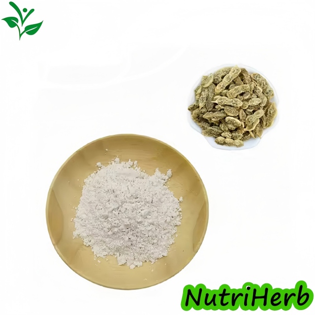 Sophora Japonica Extract 98% Genistein Powder