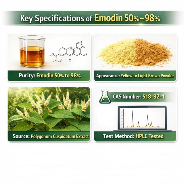 Natural Rhubarb Extract Emodin Powder from China manufacturer - NutriHerb