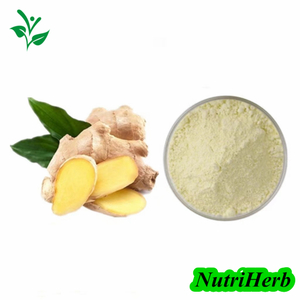Natural Ginger Root Extract Gingerol Powder 