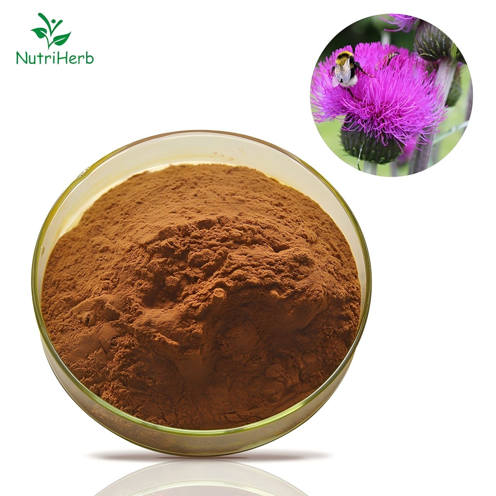Milk Thistle Extract 80% Silymarin Powder