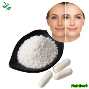 L-Glutathione Reduced 98% Glutathione Powder 