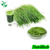  Organic Barley Green Powder Barley Grass Powder For Improving Constipation