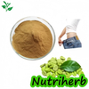Natural Green Coffee Bean Extract Chlorogenic Acid Powder