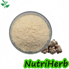 Natural Notoginseng Root Extract Notoginsenoside Powder 