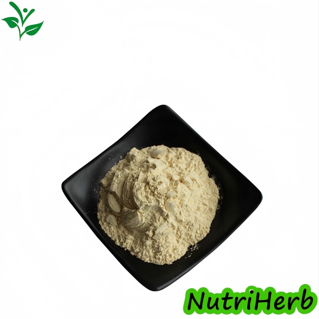 Sophora Japonica Extract 98% Genistein Powder