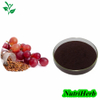 Natural Grape Seed Extract OPC Powder 