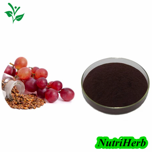 Natural Grape Seed Extract OPC Powder 