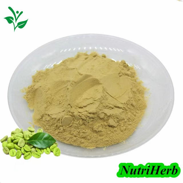 Natural Green Coffee Bean Extract Chlorogenic Acid Powder