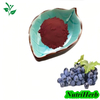 Natural Grape Skin Extract Red Grape Skin Color for Food Coloring