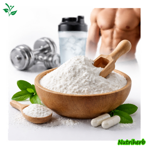 99% Chelated Magnesium Bisglycinate Powder for Muscle Health