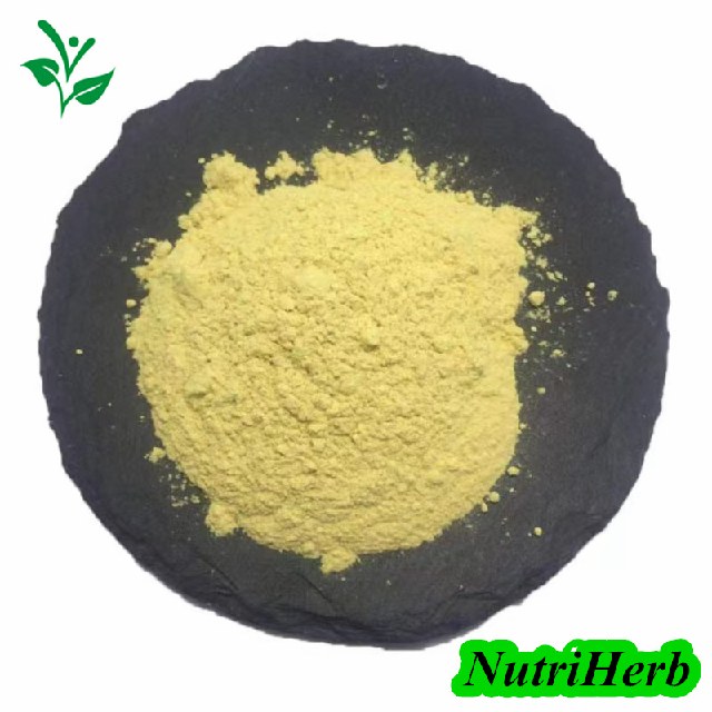 Kaempferia Galanga Extract 98% Kaempferol Powder