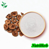 Natural Citrus Aurantium Extract Synephrine Powder