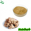 Natural Notoginseng Root Extract Notoginsenoside Powder 