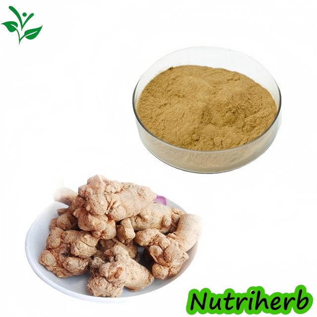 Natural Notoginseng Root Extract Notoginsenoside Powder 