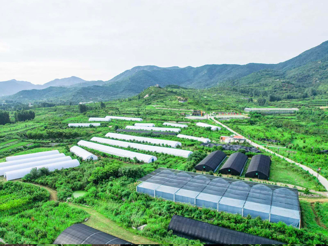 Greenhouse Farm with Crops