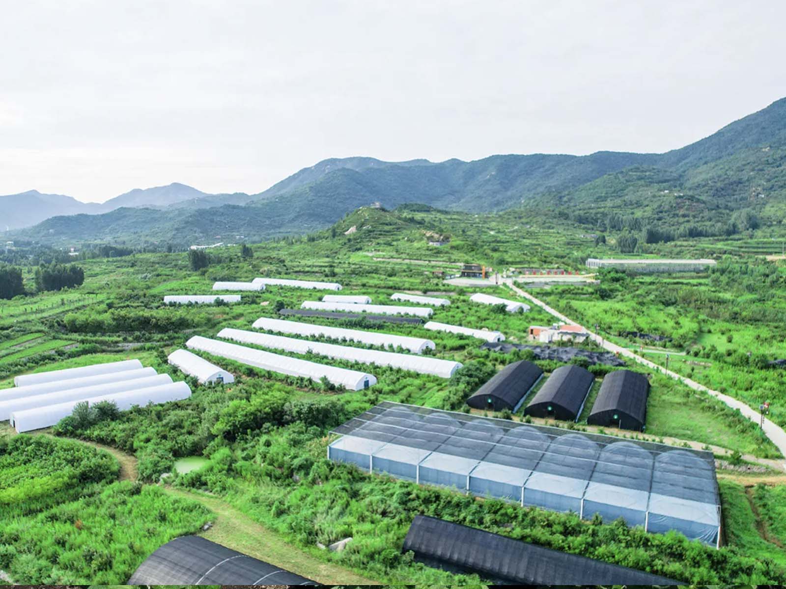 Rural Nurture & Plant Extracts