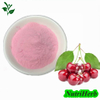 Natural Cherry Fruit Extract Acerola Cherry Extract Powder