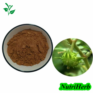 Natural Tribulus Terrestris Extract Saponins Powder 
