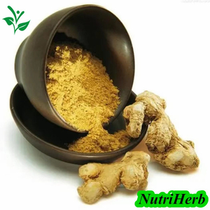 Organic Dehydrated Ginger Flakes Ginger Powder Ginger Root Powder 