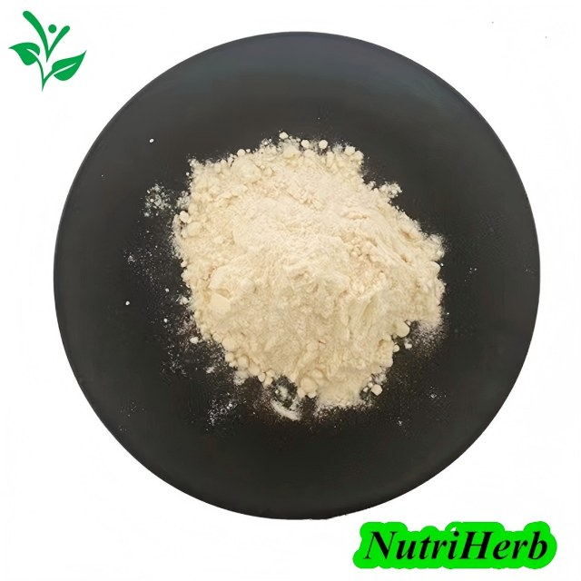 Natural Panax Ginseng Extract Ginsenosides Powder 