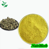 Kaempferia Galanga Extract 98% Kaempferol Powder