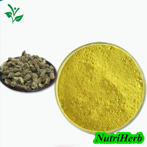 Kaempferia Galanga Extract 98% Kaempferol Powder