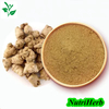 Natural Notoginseng Root Extract Notoginsenoside Powder 
