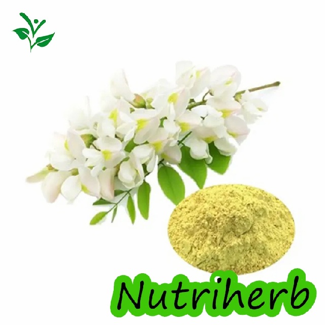 Natural Sophora Japonica Extract Quercetin Powder 