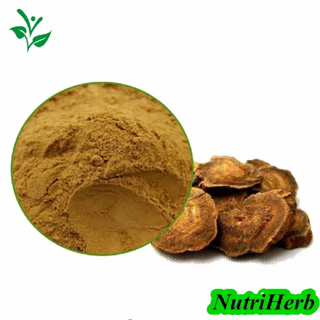 Natural Rhubarb Extract Emodin Powder