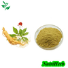 Natural Panax Ginseng Extract Ginsenosides Powder 