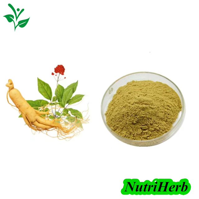 Natural Panax Ginseng Extract Ginsenosides Powder 