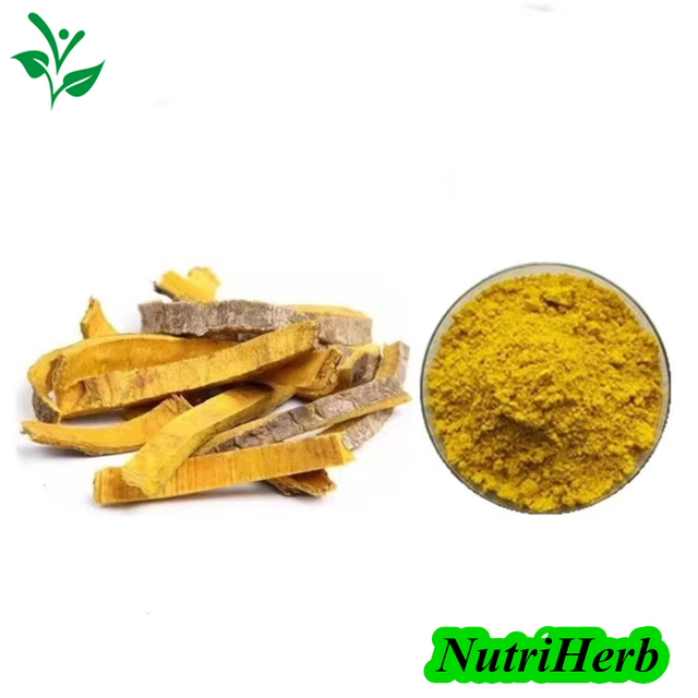 Natural Berberis Aristata Extract Berberine HCL Powder 