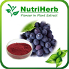Natural Grape Skin Extract Red Grape Skin Color for Food Coloring