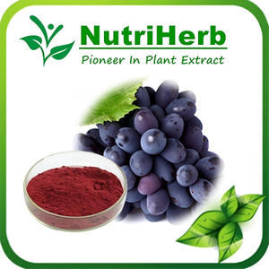 Natural Grape Skin Extract Red Grape Skin Color for Food Coloring