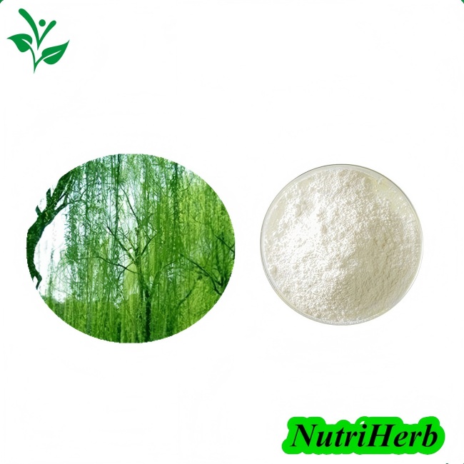 Natural White Willow Bark Extract Salicin Powder 