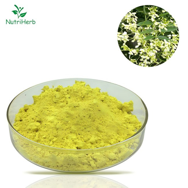 Natural Sophora Japonica Extract Luteolin 98% Powder