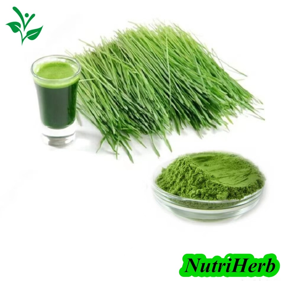 Barley-Grass-Powder