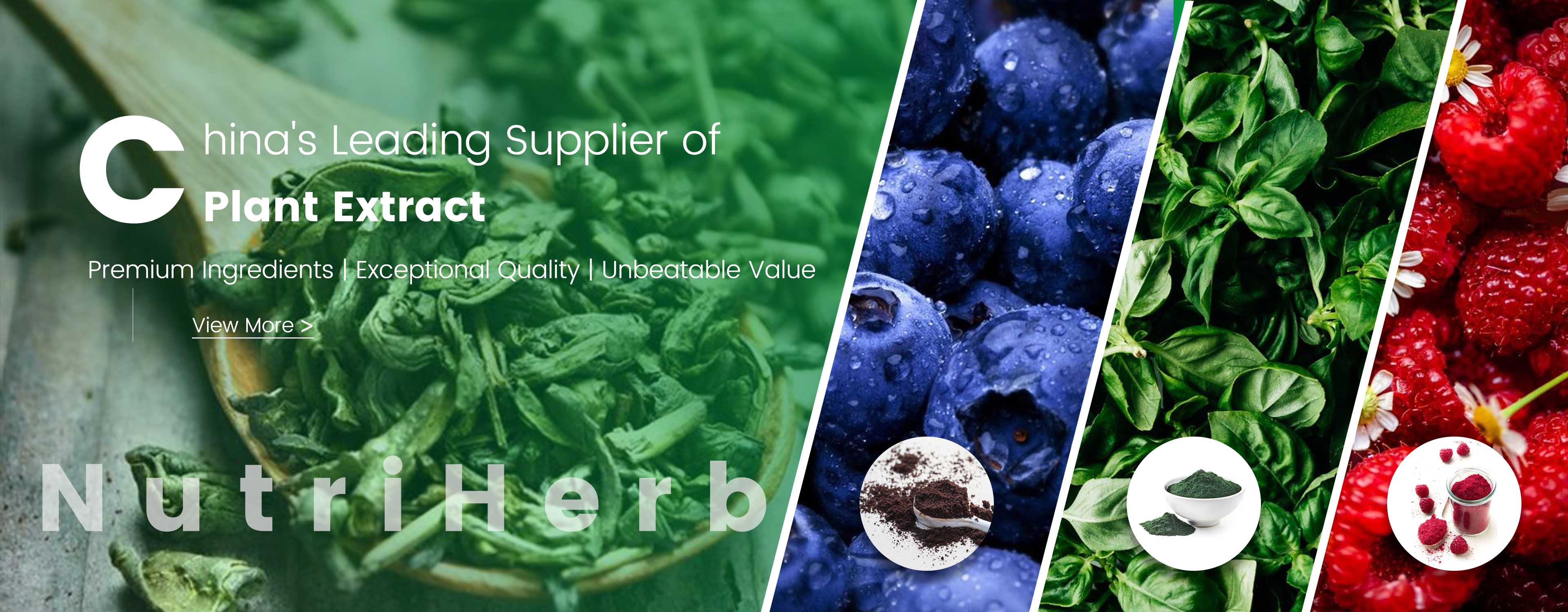 NutriHerb: Leading Plant Extract Supplier