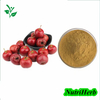 Natural Hawthorn Leaf Extract Maslinic Acid Powder